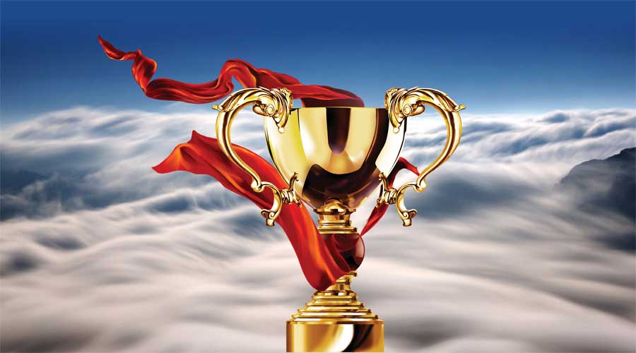 哈哈体育霸气摘星：智能家居领军品牌大雁奖！