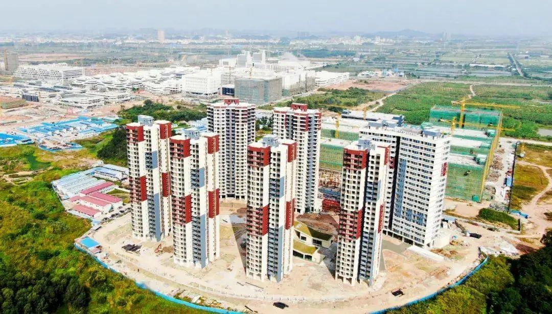 快速响应，高效配合，哈哈体育助力东莞粤海银瓶合作创新区隔离酒店建设